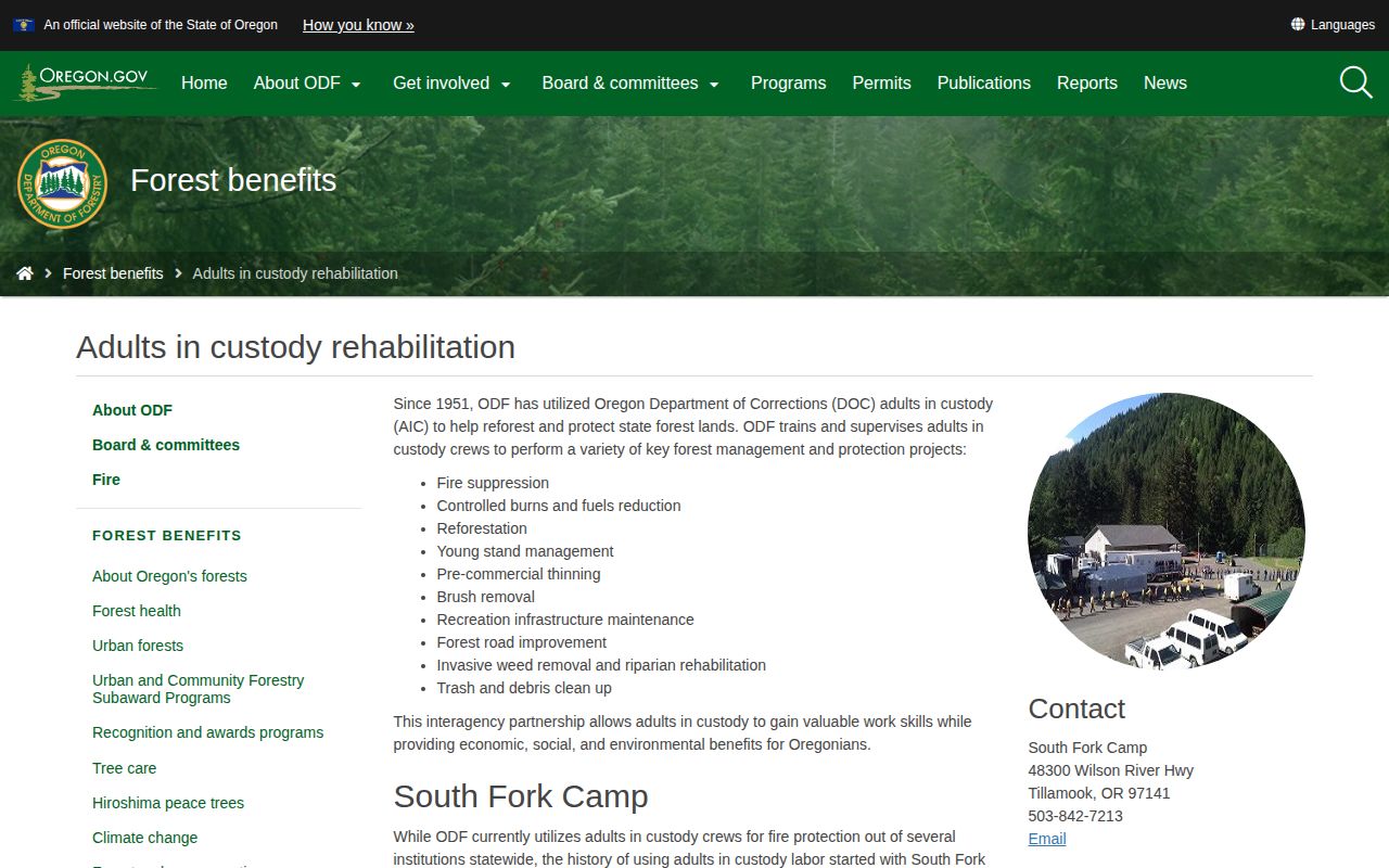 South Fork Forest Camp state custody and release program information